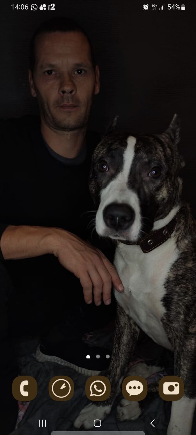 ���� 35223607 ������� Oleg, 42 ����, ���� ���������� � �����������