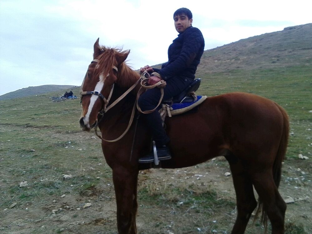 ���� 24452687 ������� ����, 26 ���, ���� ���������� � �������������