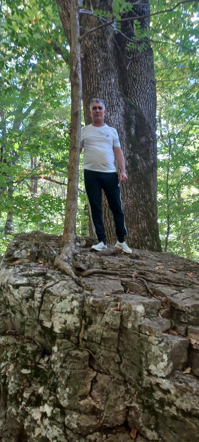  ,   , 51 ,   c 