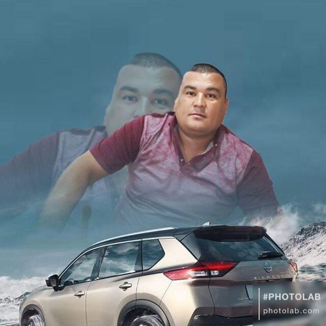  44397367  , 41 ,    
