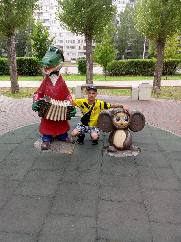  36656547  , 38 ,    