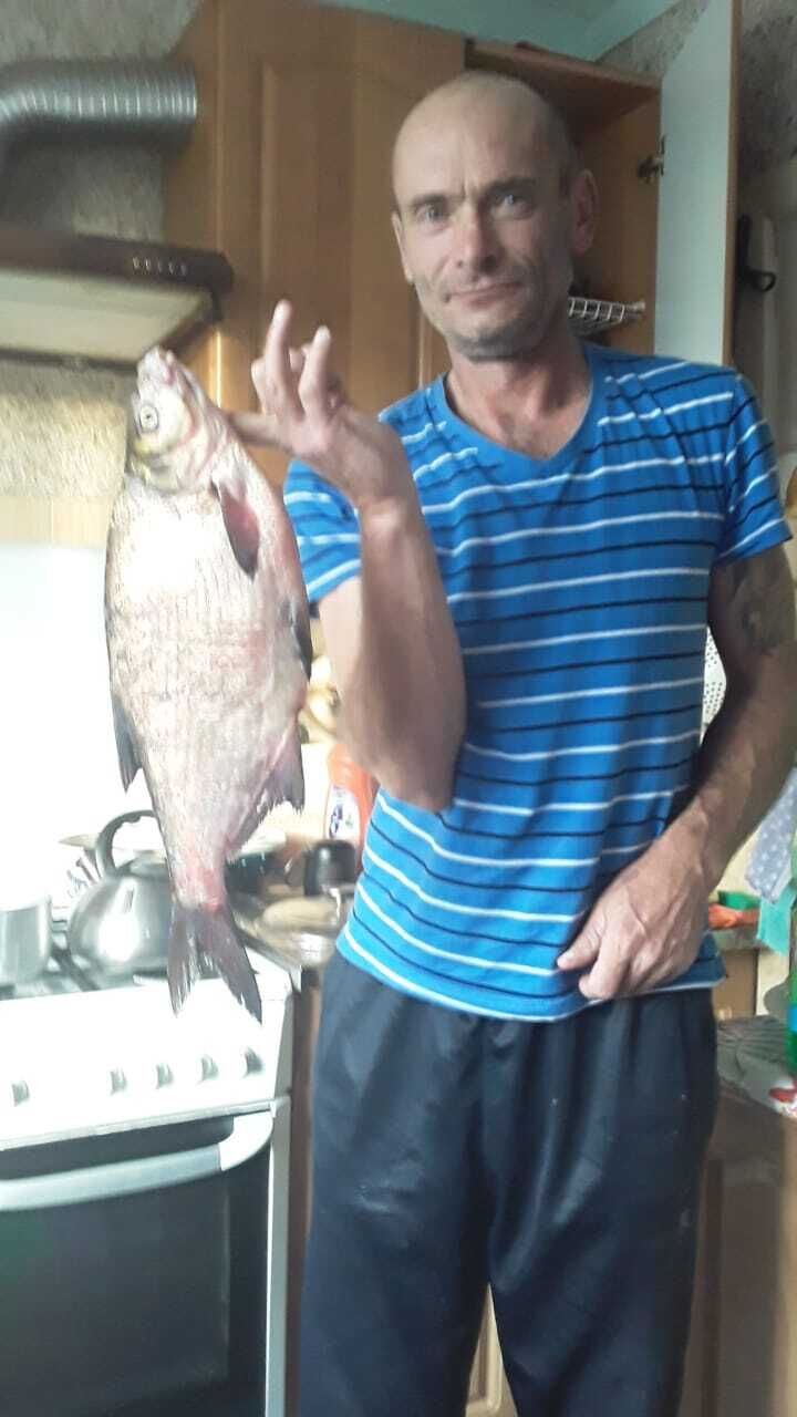 ���� 24448227 ������� ����, 54 ����, ���� ���������� � ������������