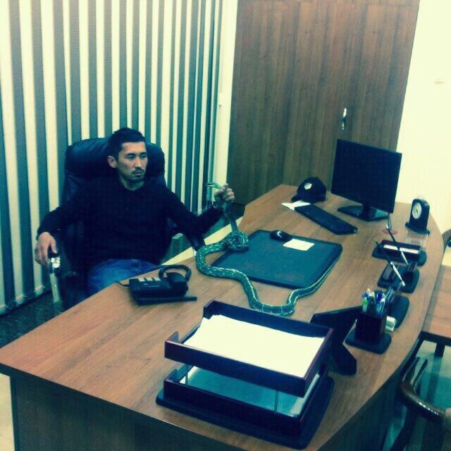  49397937  Rishad, 35 ,    