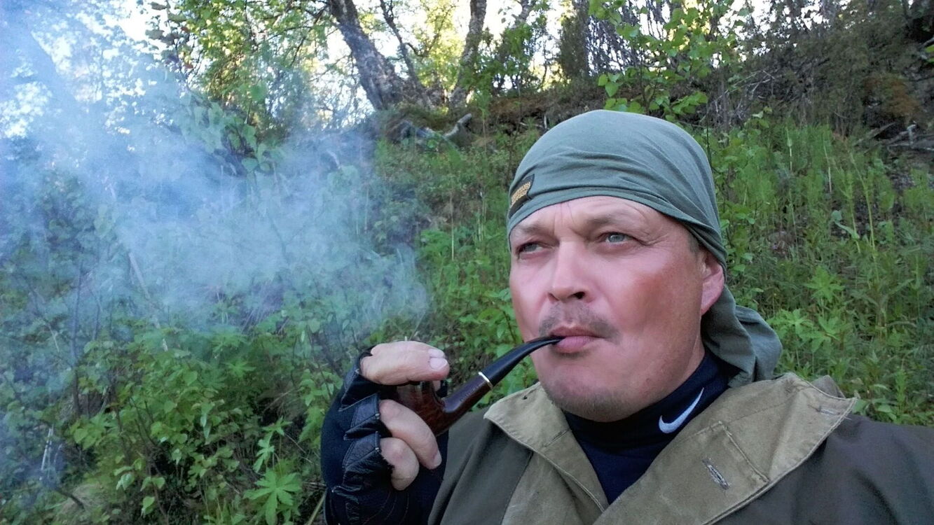 ���� 23363637 ������� �������, 54 ����, ���� ���������� � �����-����������