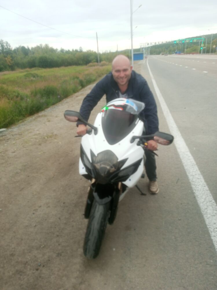  40511927  , 39 ,    