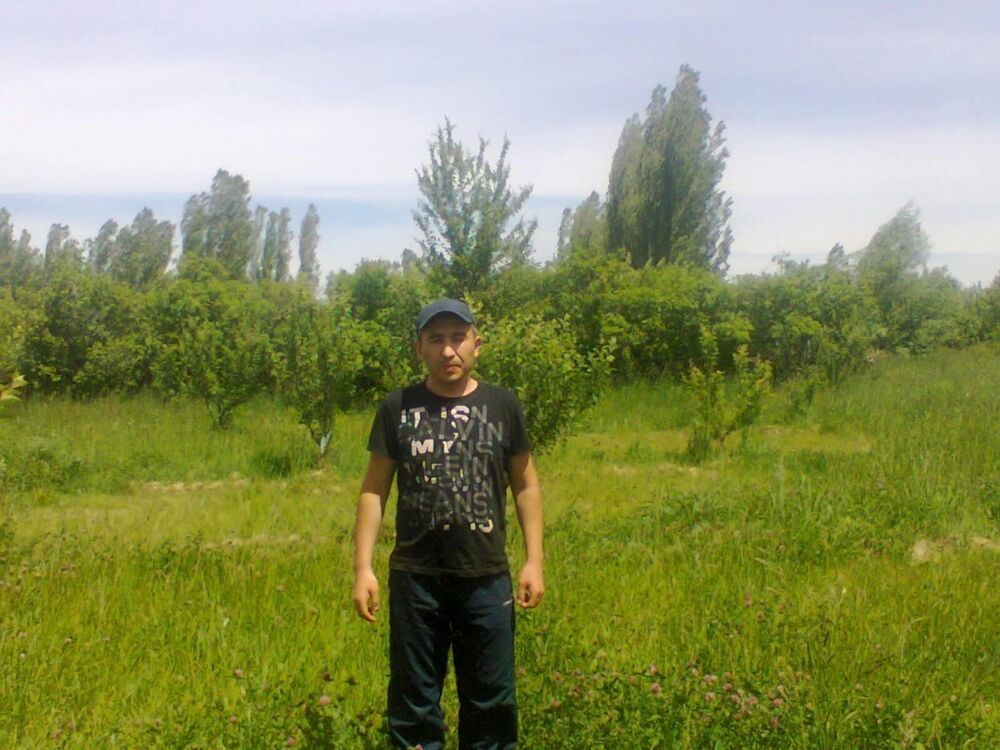  13392007  NNN, 43 ,    