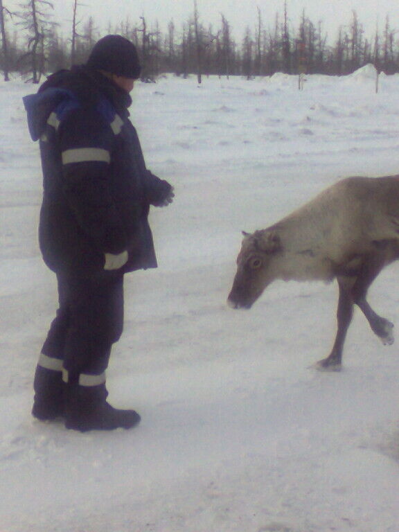 ���� 26017867 ������� ����, 50 ���, ���� ���������� � ����������