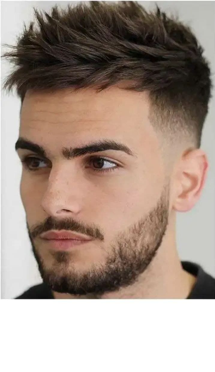  ,     , 38 ,   