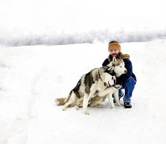 ���������� �������, ���� ������� Gi, 31 ���, ������������ ��� ������, ����� � ���������, c�������� ���������