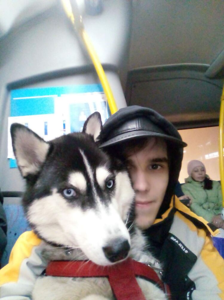 ���� 38684217 ������� �����, 27 ���, ���� ���������� � ������