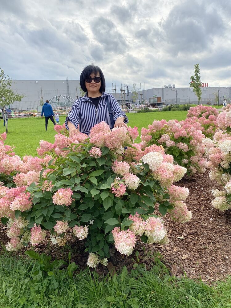 ���� 22686557 ������� �����, 60 ���, ���� ���������� � ������