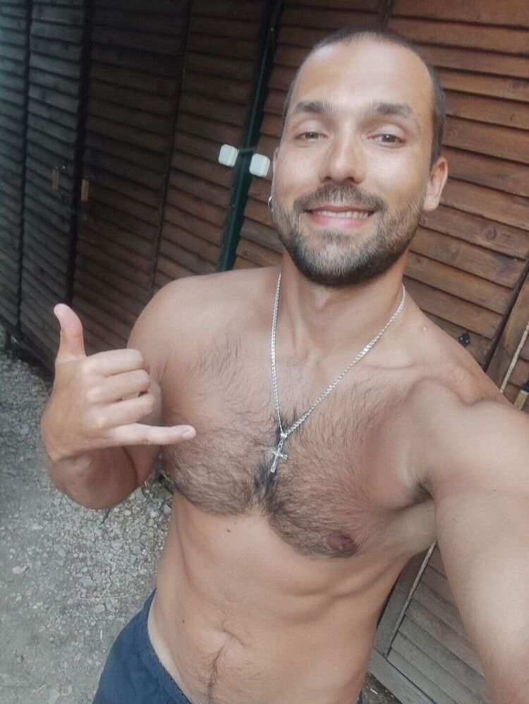 44221687  , 31 ,    