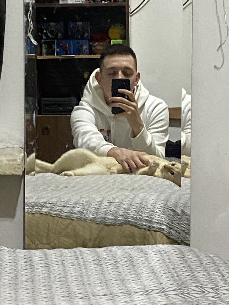  42073277  , 24 ,    