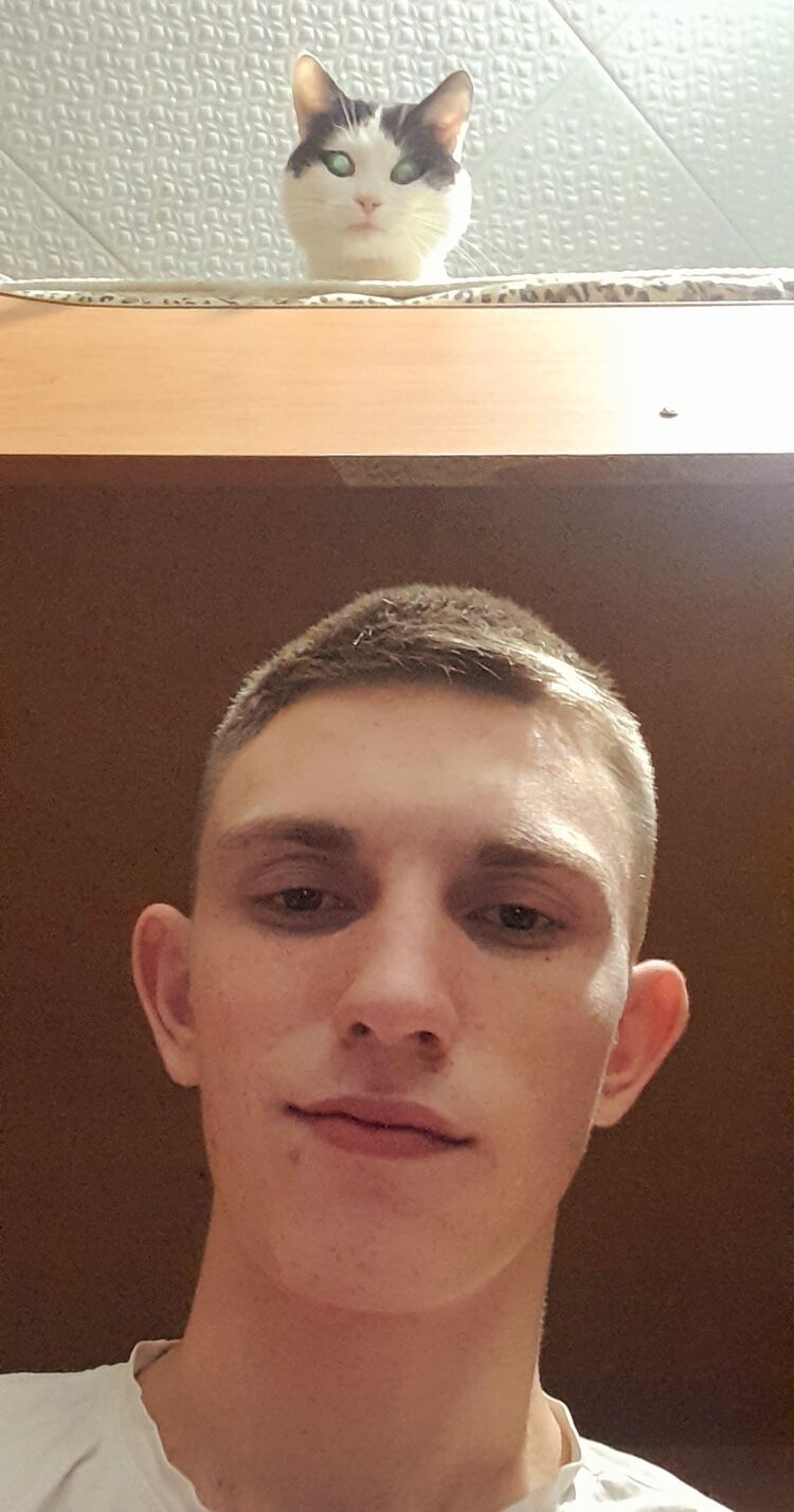  29933777  , 22 ,    
