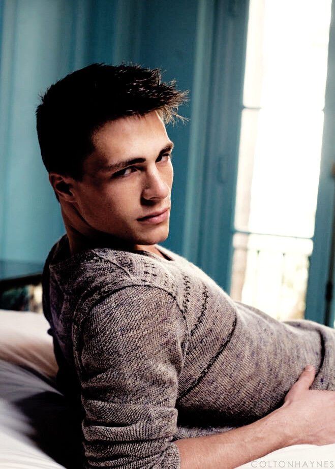 ���� 4658327 ������� Artiemp, 40 ���, ���� ���������� � ��������