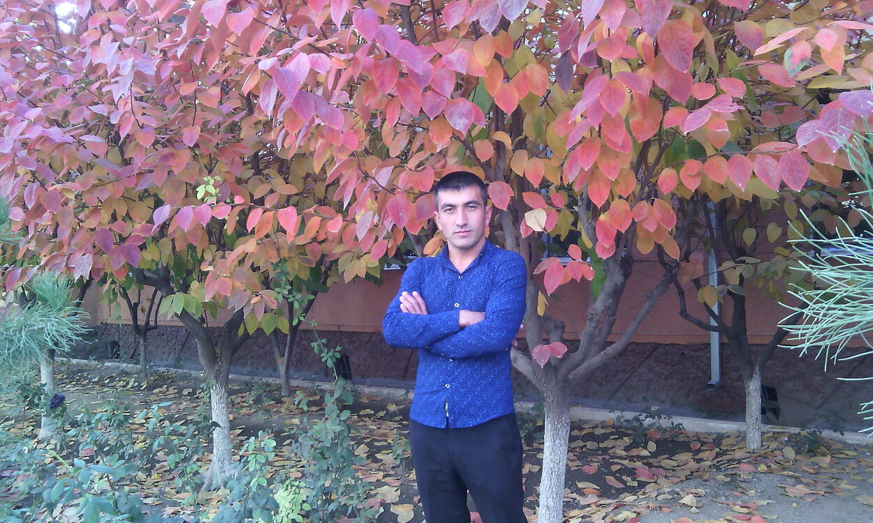  40446387   , 40 ,    