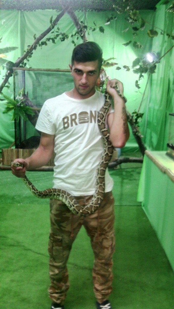 ���������� ������, ���� ������� Andro, 31 ���, ������������ ��� ������, ����� � ���������, c�������� ���������