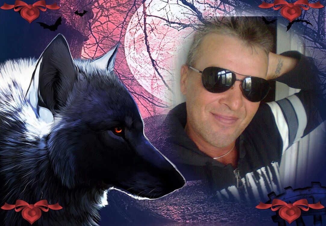 ���� 19950477 ������� ������, 43 ����, ���� ���������� � ���������