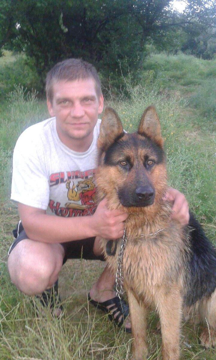 ���� 8939517 ������� ������, 41 ���, ���� ���������� � ��������