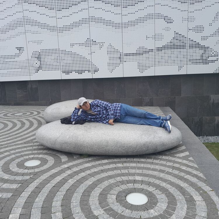 ���� 54002787 ������� ������, 29 ���, ���� ���������� � �������