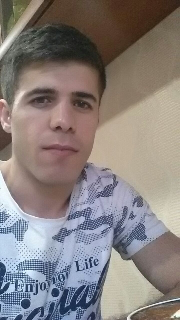  41290097  , 33 ,    