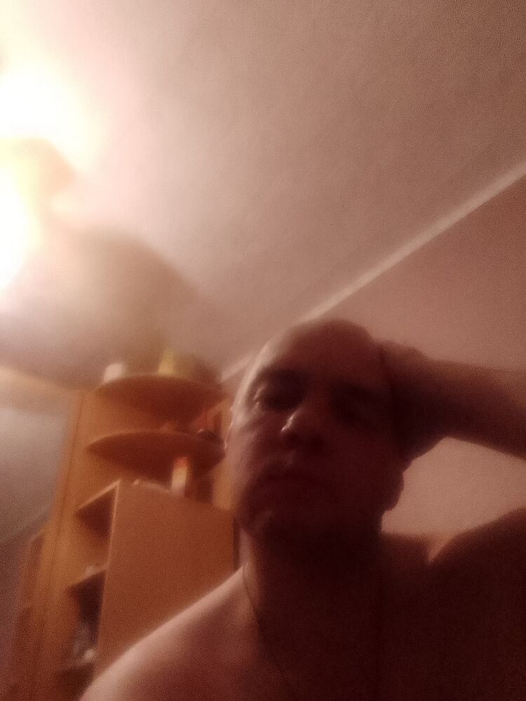  24226507  Igor, 44 ,    