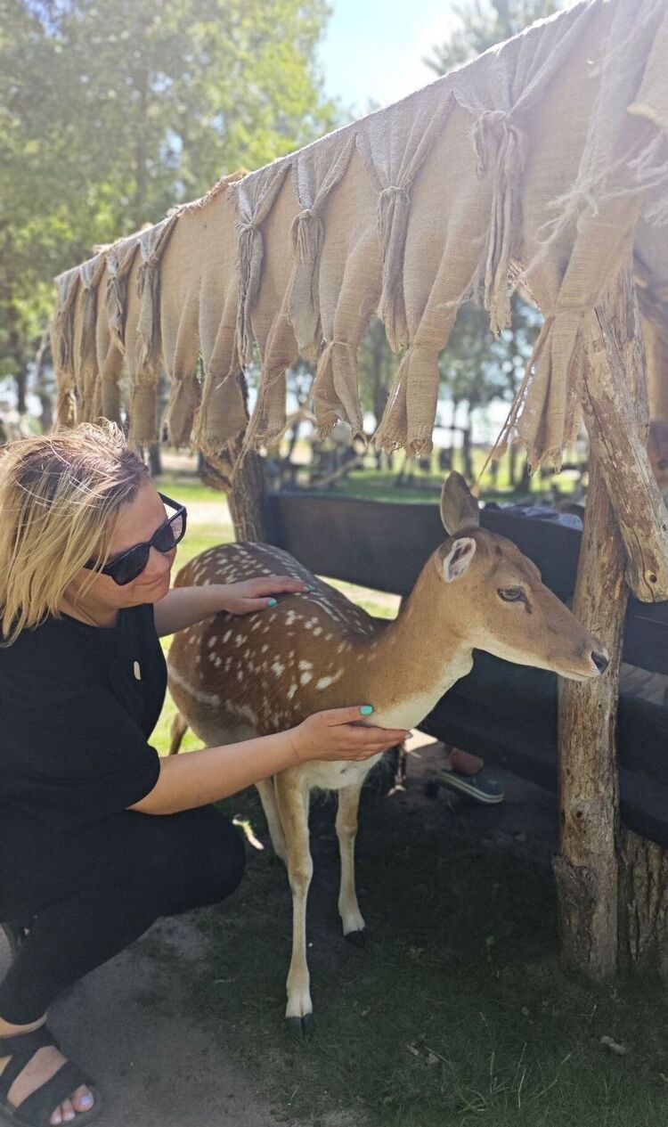 ���� 55686677 ������� �����, 41 ���, ���� ���������� � ������