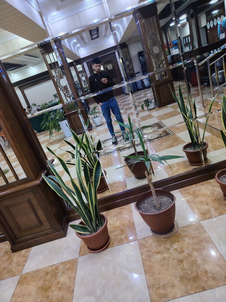 ���������� ���������, ���� ����� ���, 24 ����, ������������ ��� ������, ����� � ���������, c�������� ���������