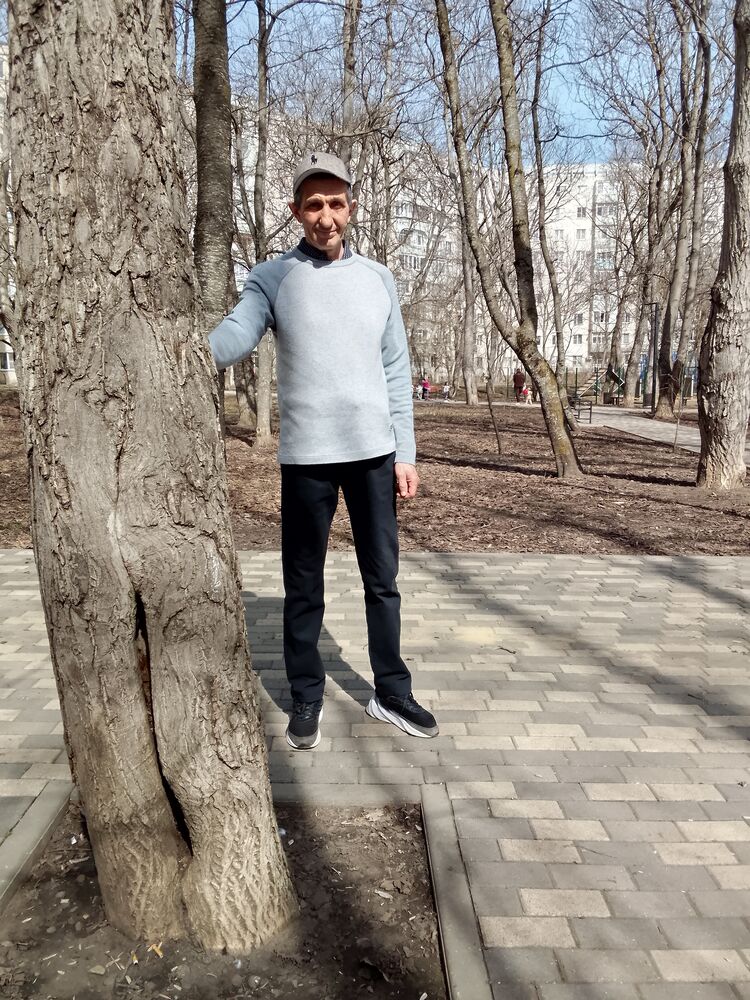 ���� 55829987 ������� ��������, 55 ���, ���� ���������� � ����������