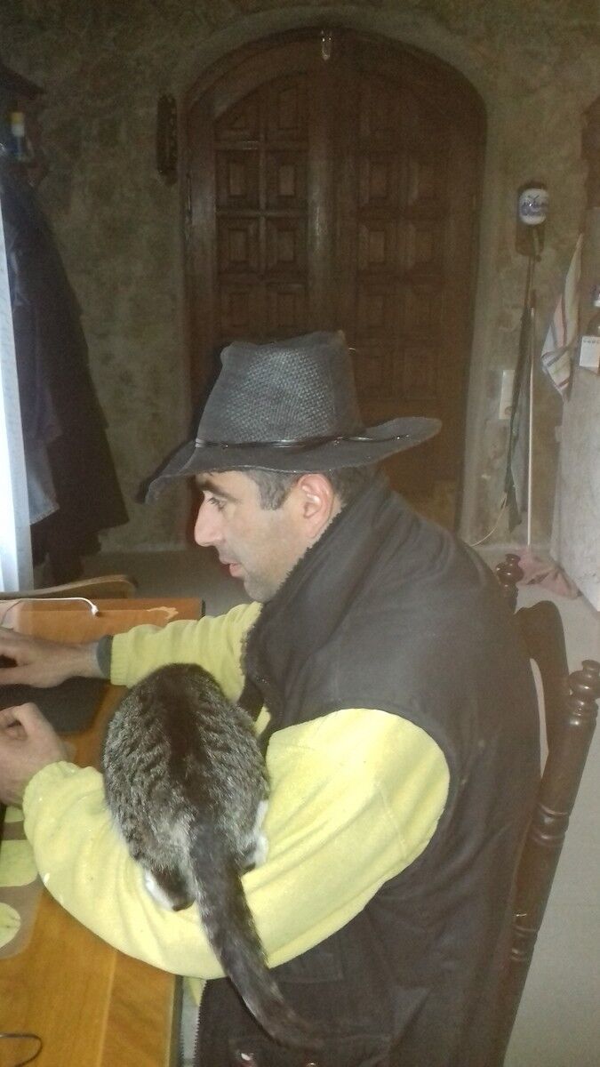  10211517  Giorgi, 51 ,    