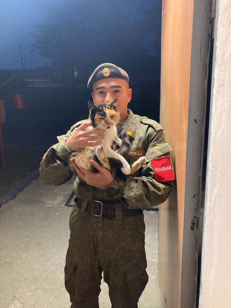 ���� 53979957 ����� ���, 21 ���, ���� ���������� � ������������