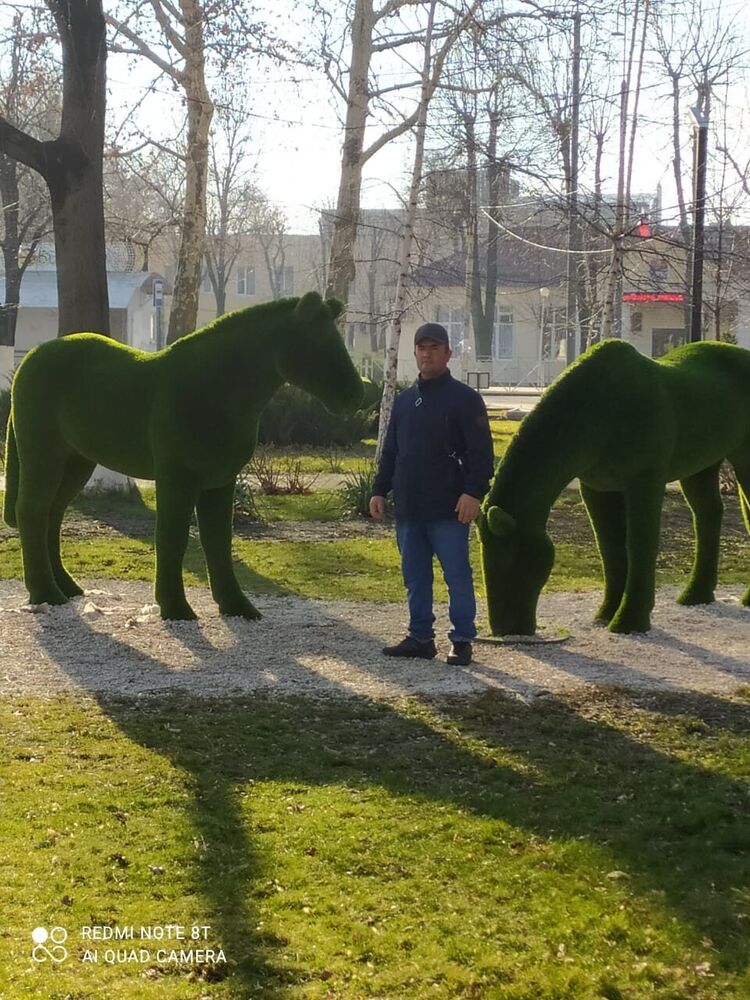 ���������� ���������, ���� ������� ������, 49 ���, ������������ ��� ������, ����� � ���������