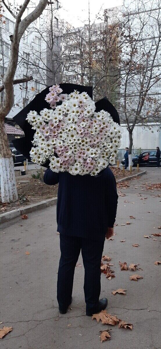  ,   Denis, 25 ,   ,   , c 