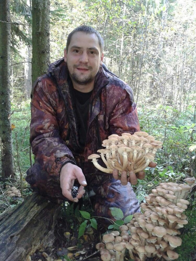 ���� 22888927 ������� �����, 37 ���, ���� ���������� � �������