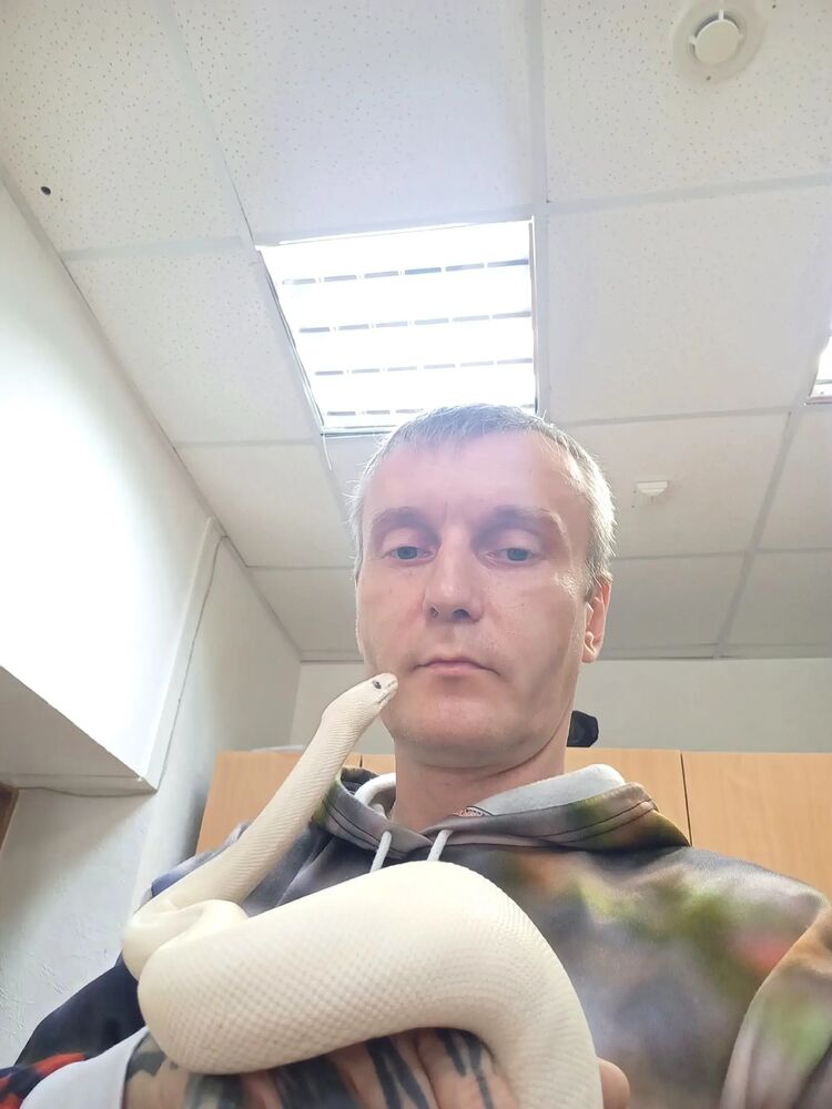 ���������� ������, ���� ������� �������, 45 ���, ������������ ��� ������, ����� � ���������, c�������� ���������