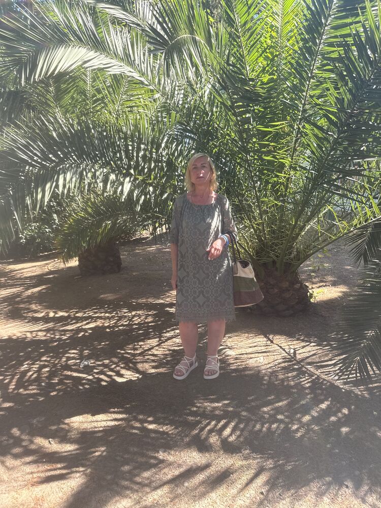  ,   , 50 ,   ,   