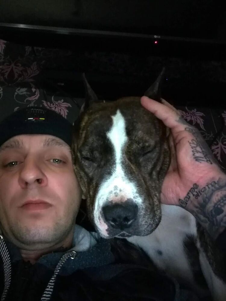 ���������� �����, ���� ������� ������, 39 ���, ������������ ��� ������, ����� � ���������, c�������� ���������