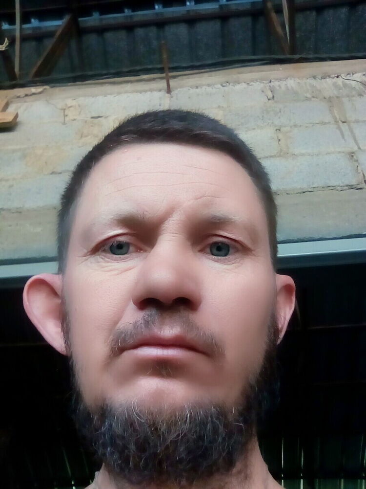 20444557  , 41 ,    