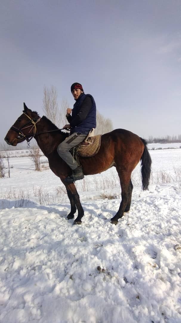 ���������� ������, ���� ����� ����� ����, 19 ���, ������������ ��� ������, ����� � ���������