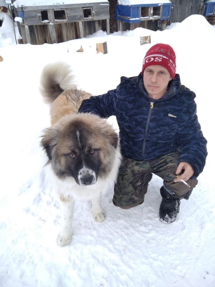 ���������� ������, ���� ������� ������, 41 ���, ������������ ��� c�������� ���������