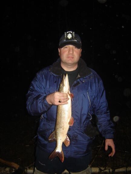 ���� 22239297 ������� ���, 50 ���, ���� ���������� � ������