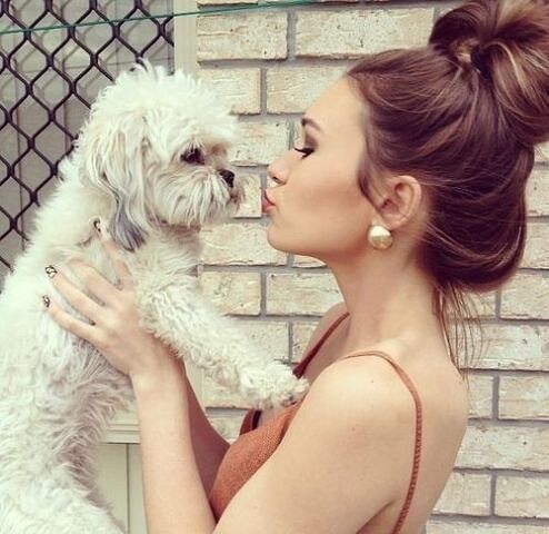 ���� 17088267 ������� ������� �, 26 ���, ���� ���������� � ������