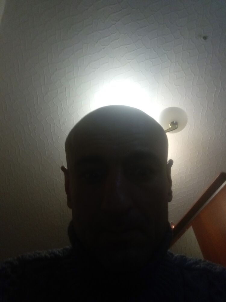  41659557  , 44 ,    