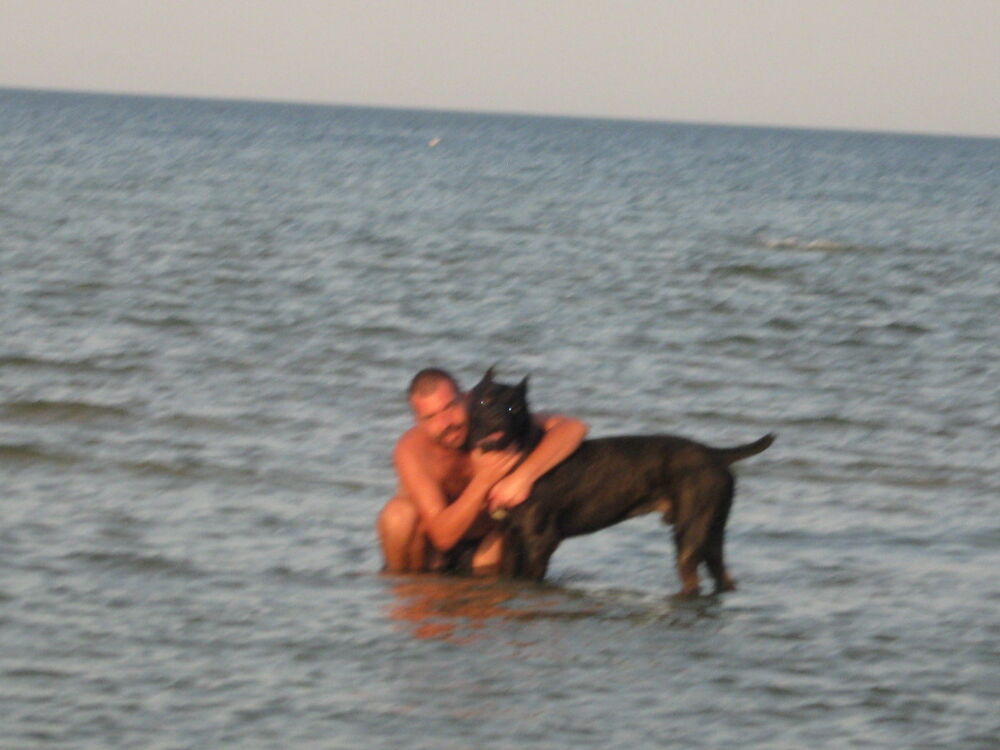  ,   IGOR, 52 ,   ,   , c , 