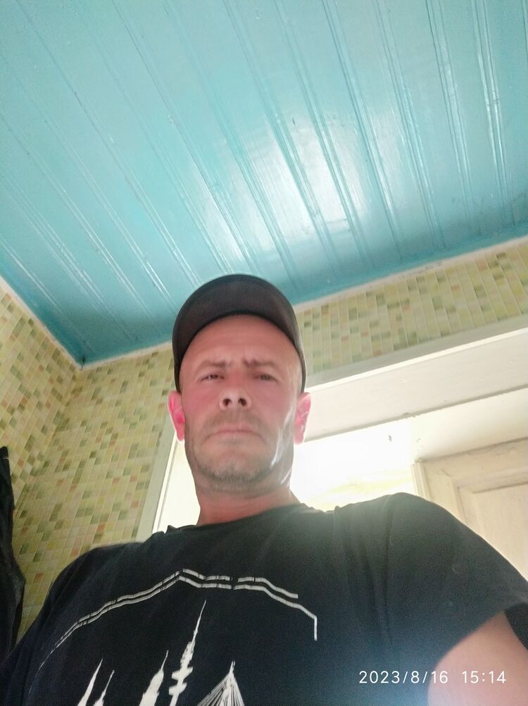  39132587  , 43 ,    