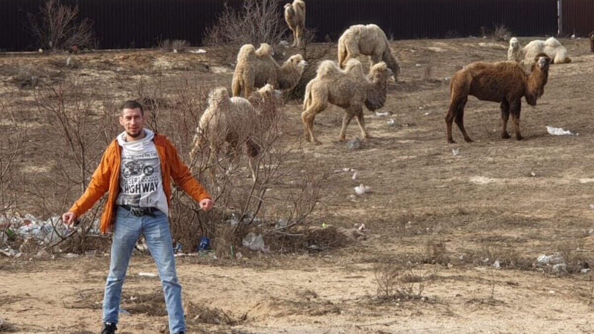 ���������� ���������, ���� ������� ������, 44 ����, ������������ ��� ������, ����� � ���������, c�������� ���������