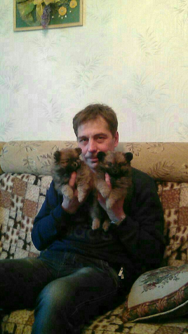 ���� 55653497 ������� ���������, 55 ���, ���� ���������� � �������������