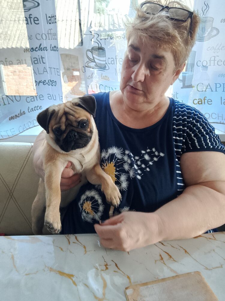 ���� 53981187 ������� ����, 59 ���, ���� ���������� � ���������