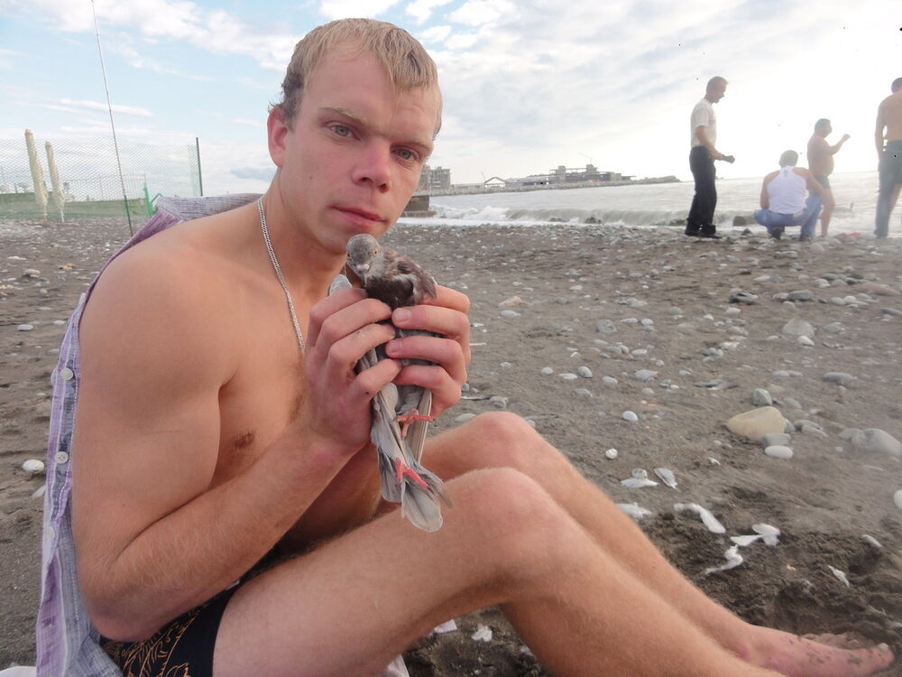 ���� 5288957 ������� �������, 38 ���, ���� ���������� � ����������