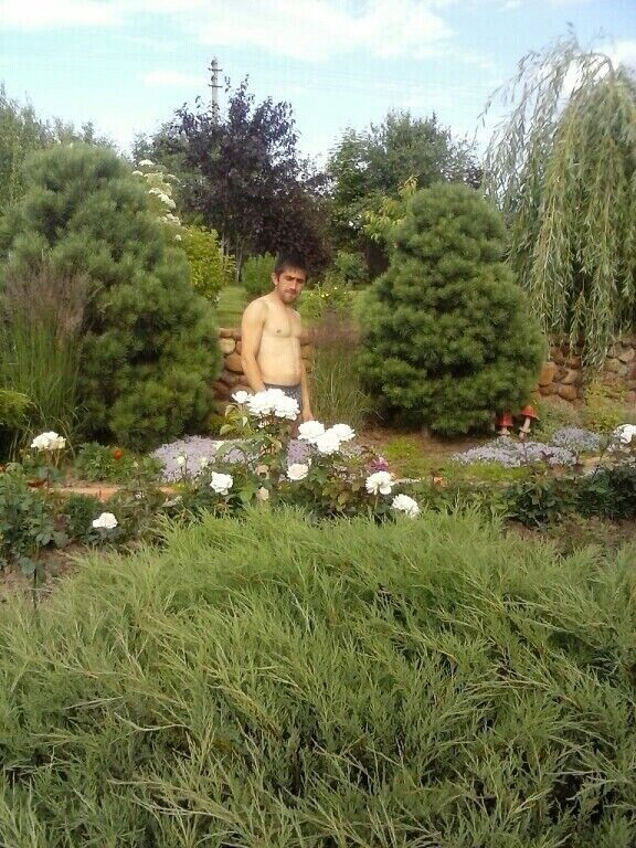 ���������� ������, ���� ������� ������, 45 ���, ������������ ��� ������, ����� � ���������